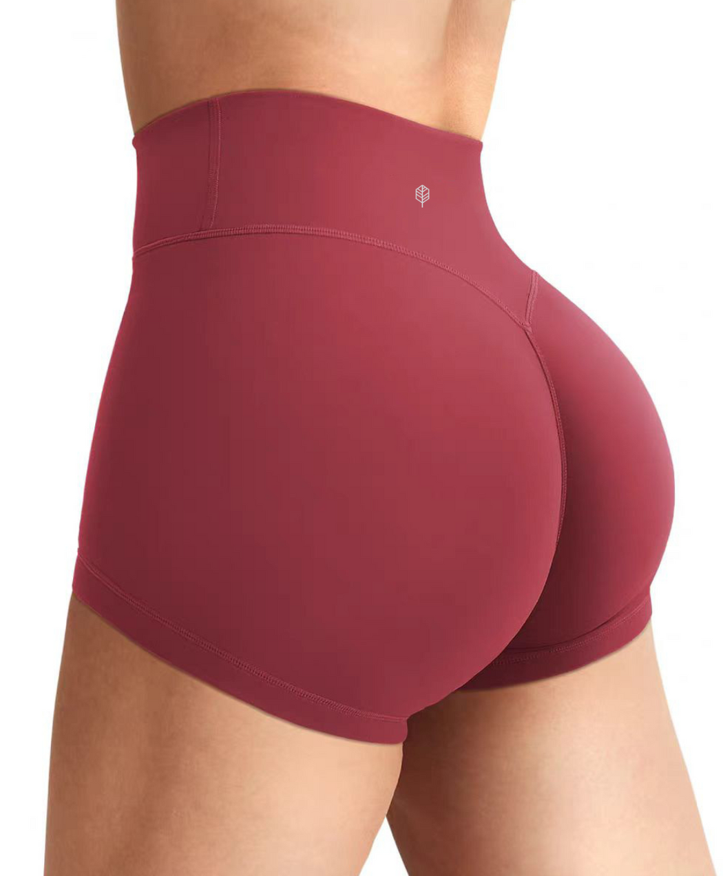 Sunlit High Waist Shorts