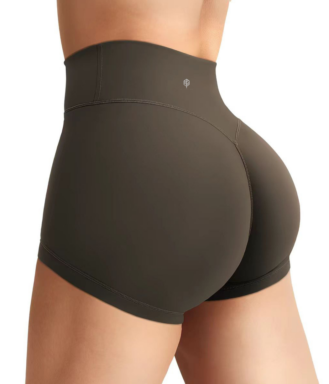Sunlit High Waist Shorts