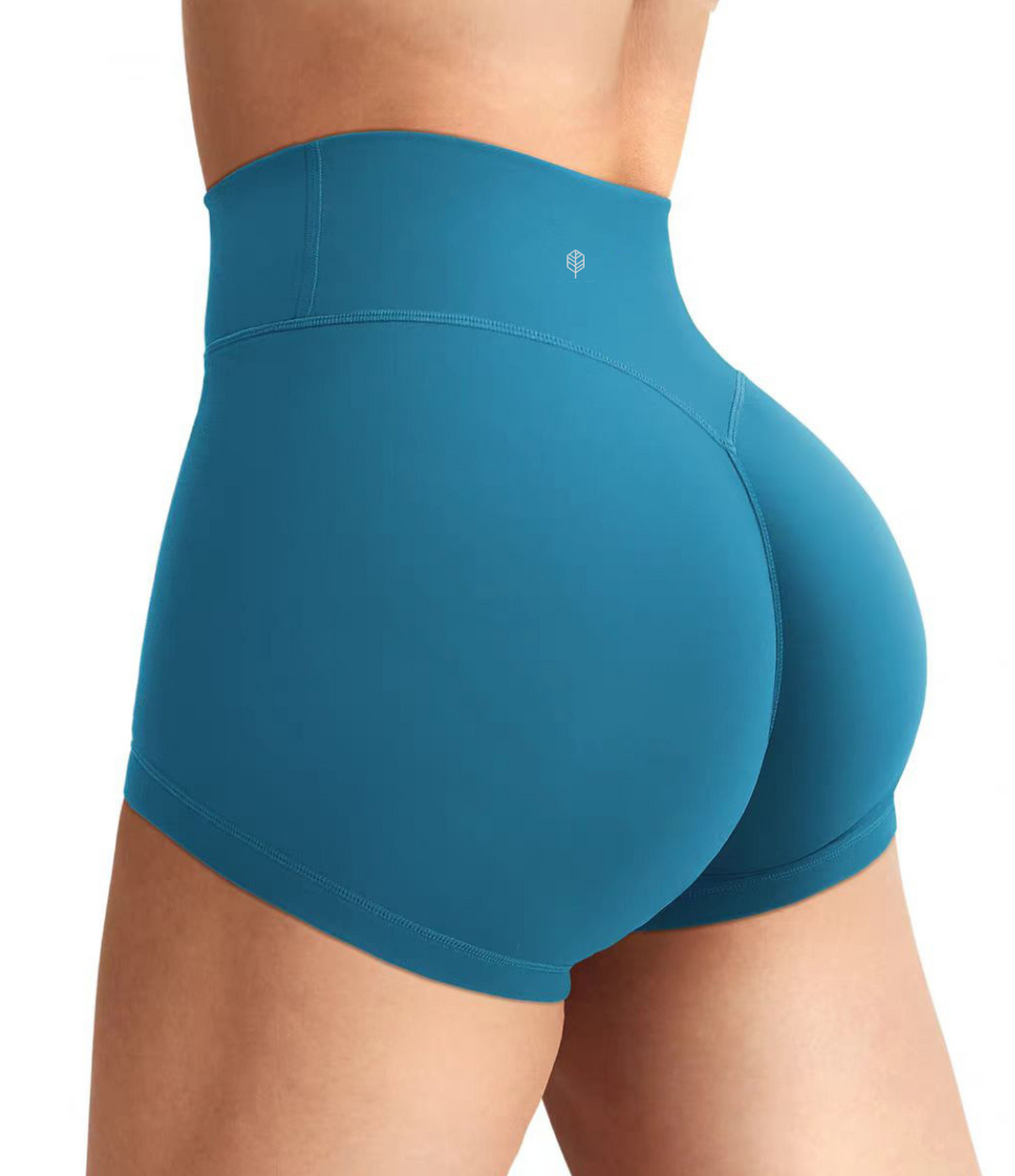 Sunlit High Waist Shorts