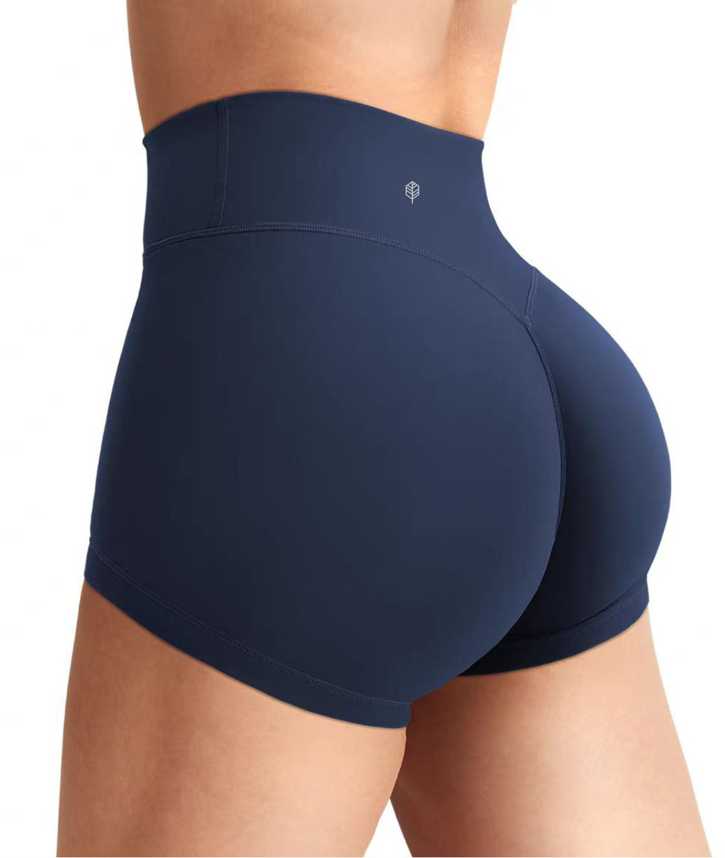 Sunlit High Waist Shorts