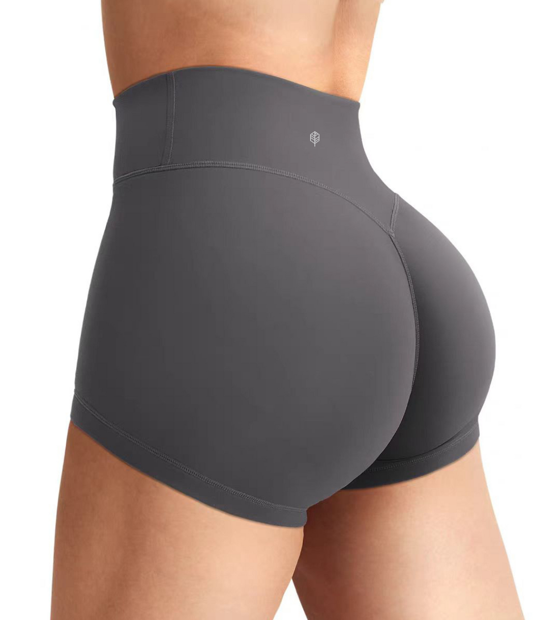 Sunlit High Waist Shorts