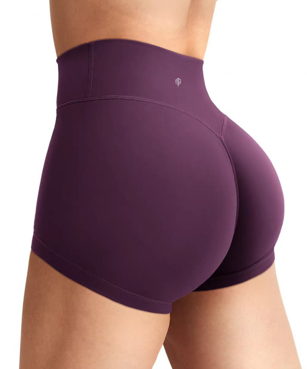 Sunlit High Waist Shorts