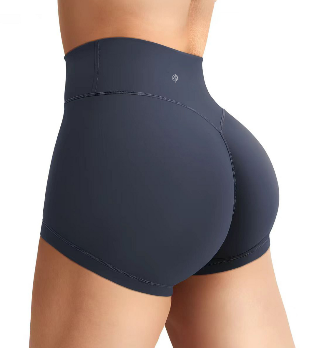 Sunlit High Waist Shorts