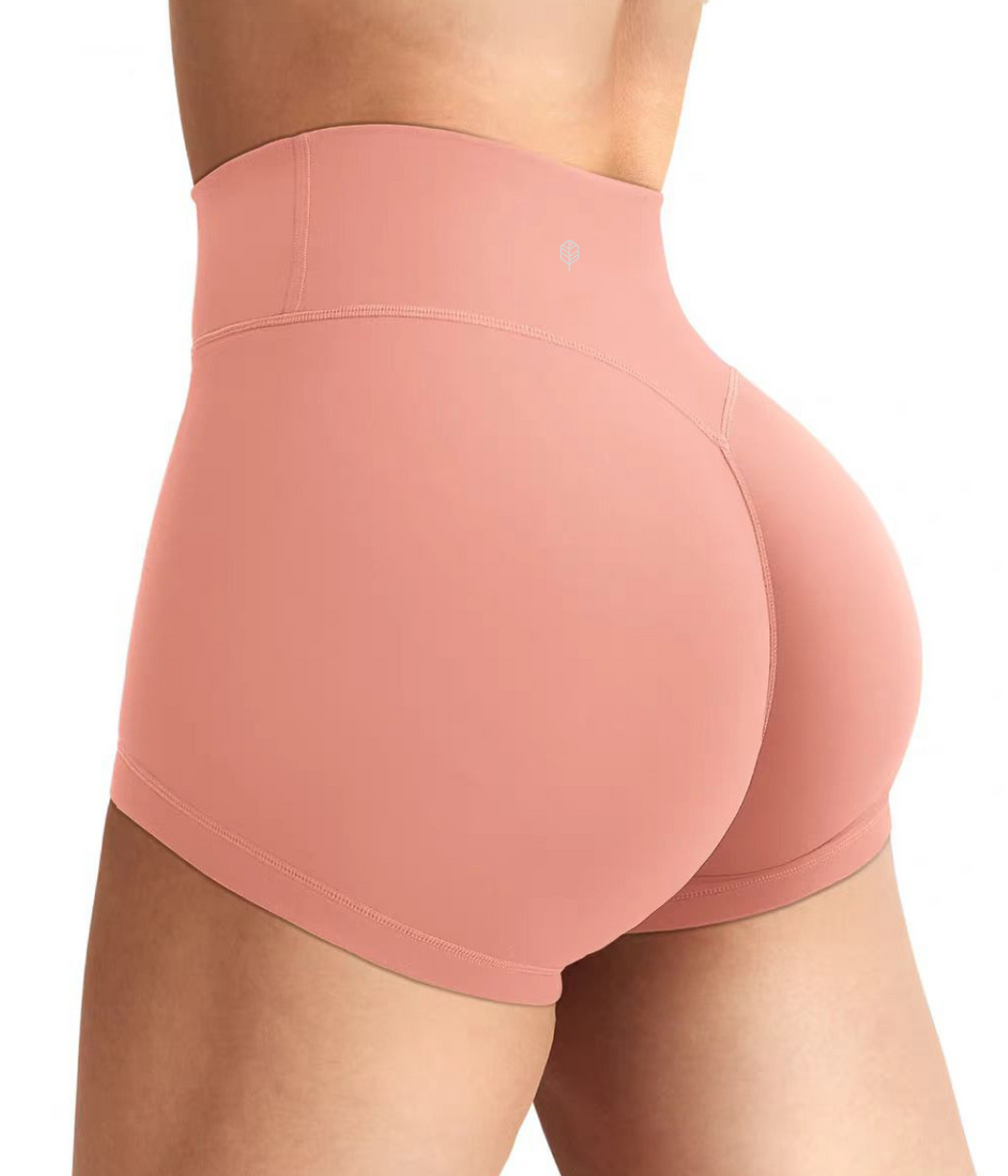 Sunlit High Waist Shorts