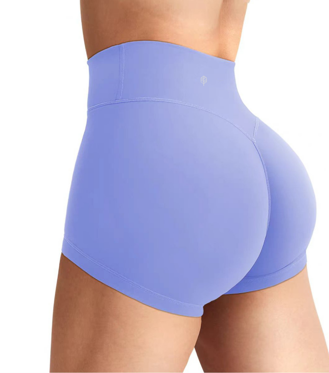 Sunlit High Waist Shorts