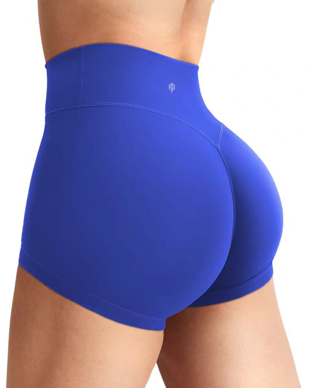 Sunlit High Waist Shorts