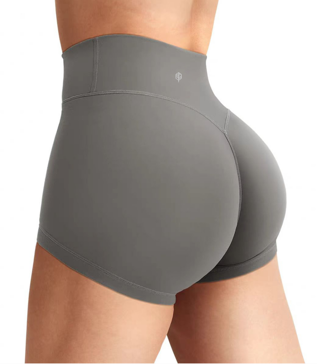 Sunlit High Waist Shorts