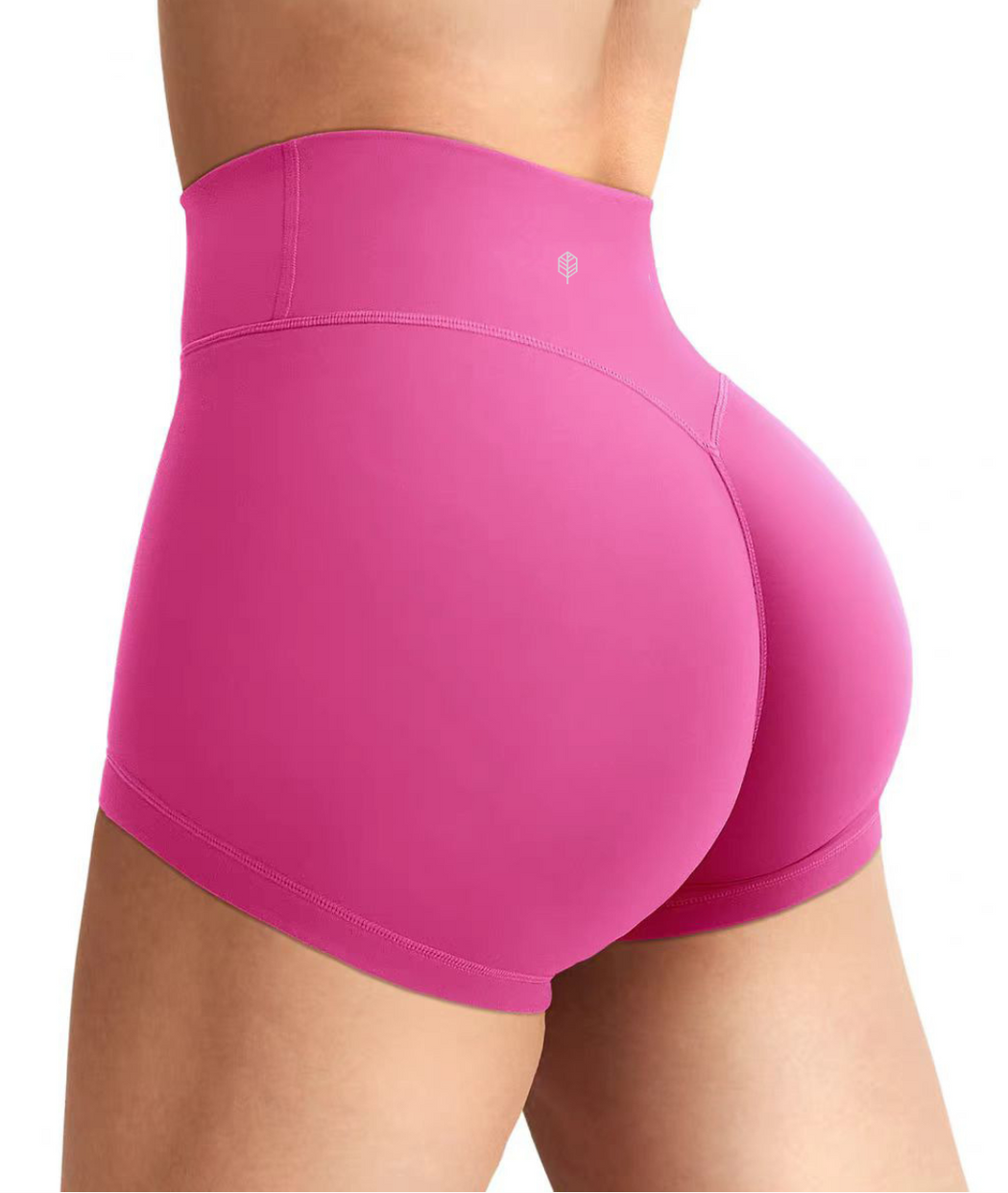Sunlit High Waist Shorts