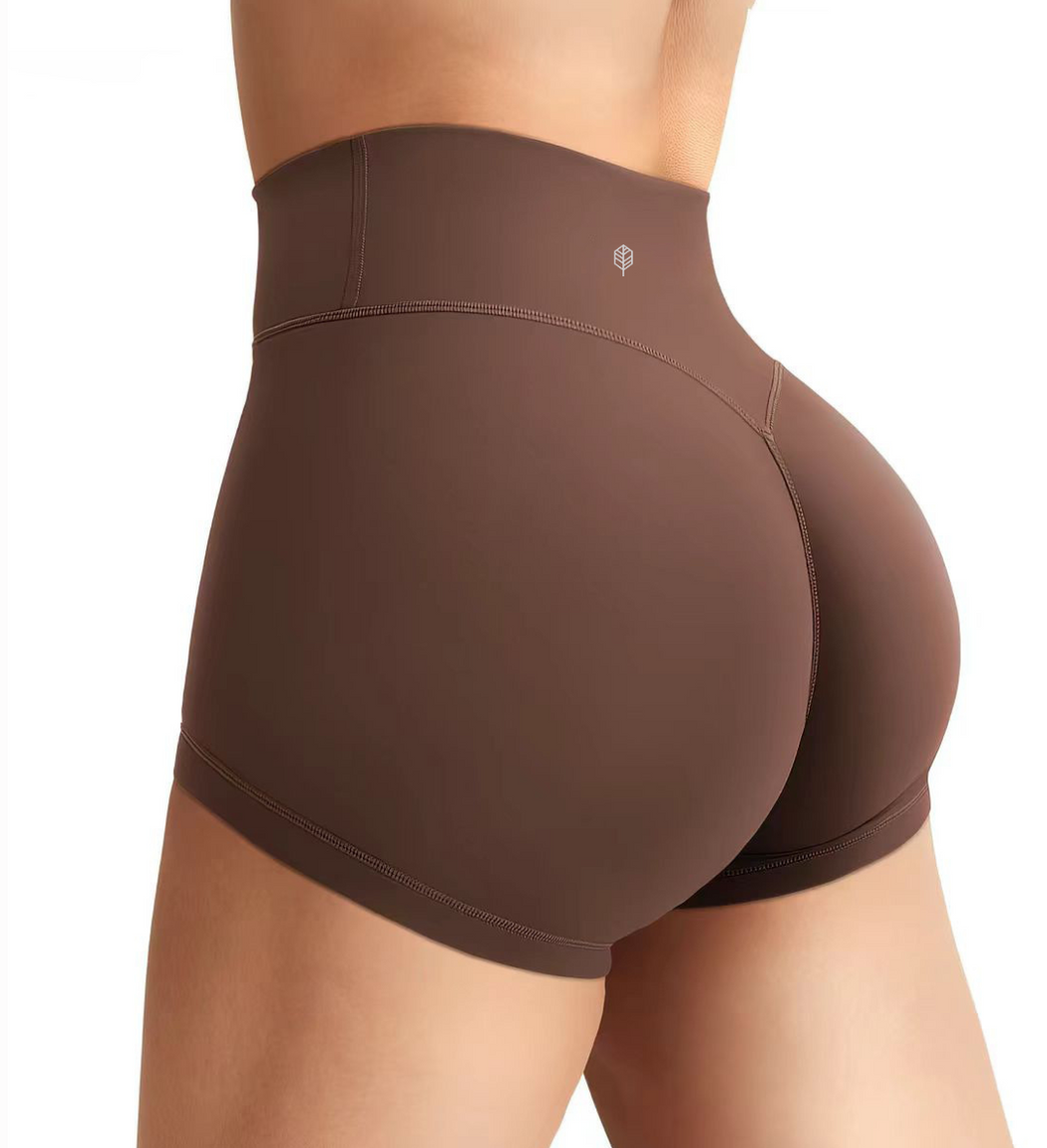 Sunlit High Waist Shorts